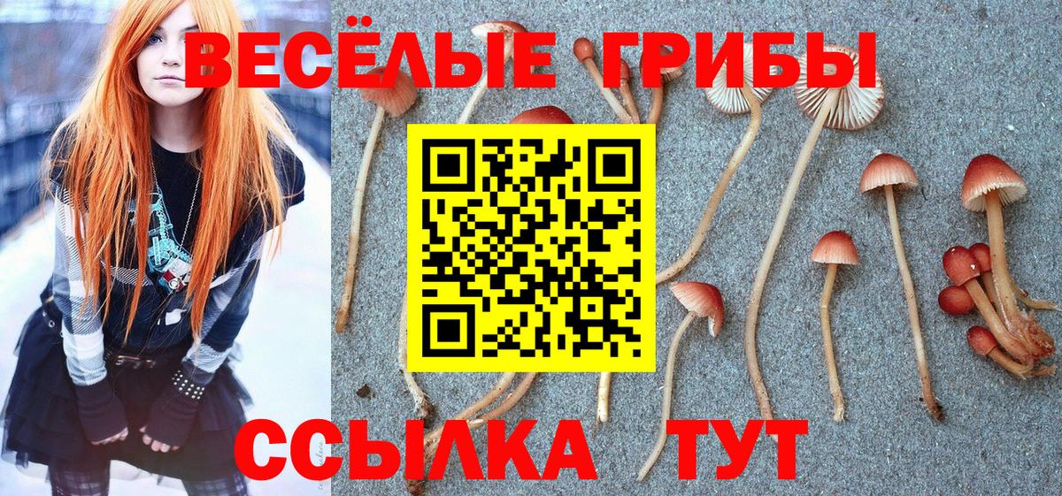 Галлюциногенные грибы мухоморы  Галлюциногенные грибы MAGIC MUSHROOMS  Вход с VPN  Севастополь 